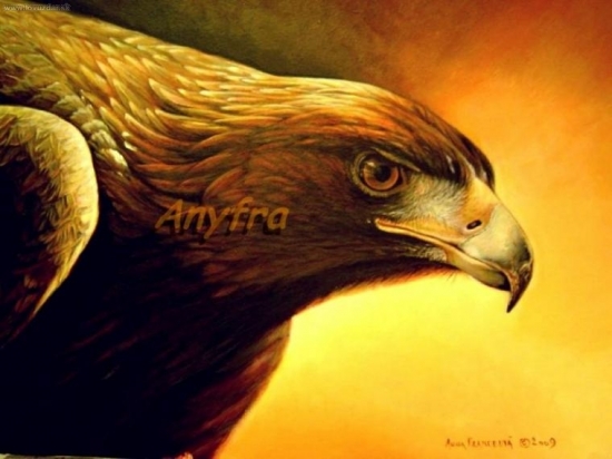 Skalný orol. Akryl.