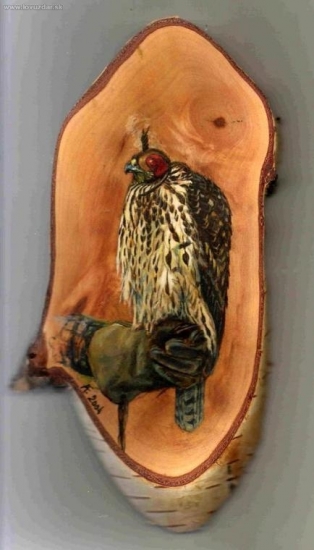 Mladý jastrab lesný na rukavici. Akryl.