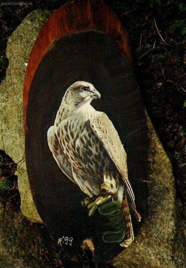 Sokol rároh. Akryl.