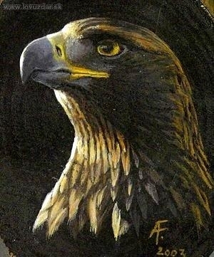 Portrét orla. Akryl.