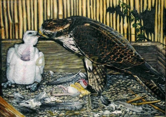 Sokol rároh s mláďaťom. Akryl.