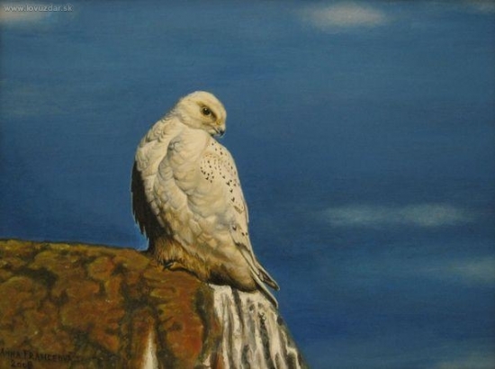 Samec poľovníckeho sokola na strážnom stanovisku. Akryl.