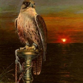 Sokol na posede. Akryl.