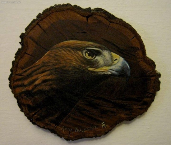 Orol skalný. Akryl na slivke.