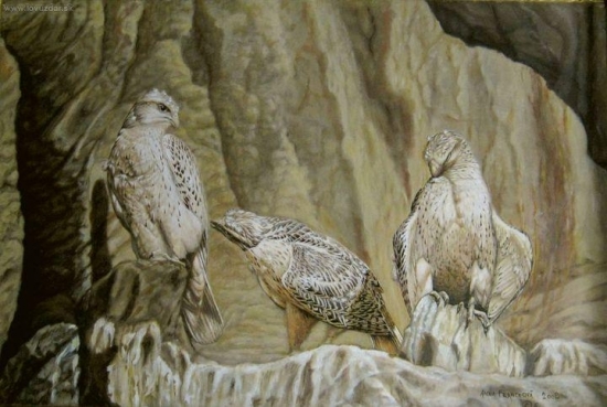 Mláďatá poľovníckeho sokola na hniezdnej plošine. Akryl.
