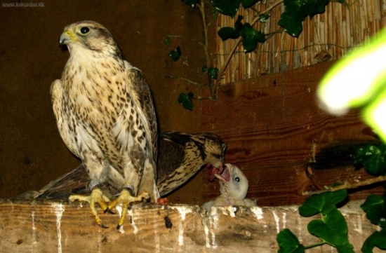 Rodinka malá, ale naša...:)