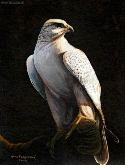 Poľovnícky sokol na rukavici. Akryl.