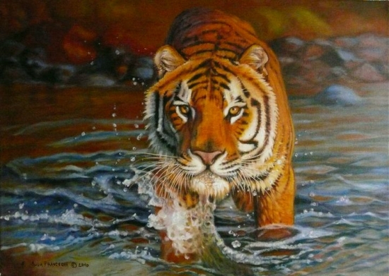 Bengálsky tiger. Akryl.