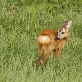Ešte troska sa umyjem...