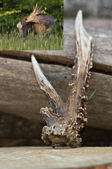 Zatiaľ môj najkrajší ...