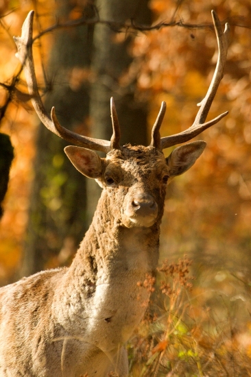 Obzeral si ma z každej strany..