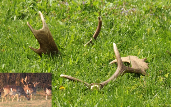 Uvavené šťastie ..