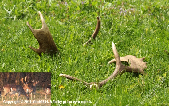 Uvavené šťastie ..