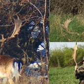 Môj najkrajší zážitok