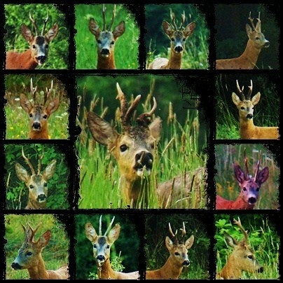 Moje najkrajšie.....