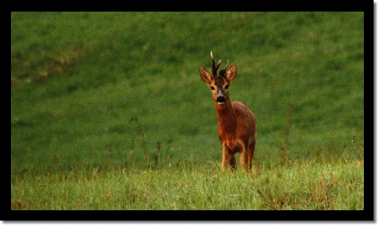 Znovu sme sa stretli