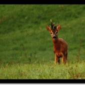 Znovu sme sa stretli