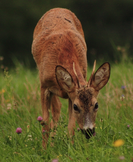 bol som ostro sledovaný