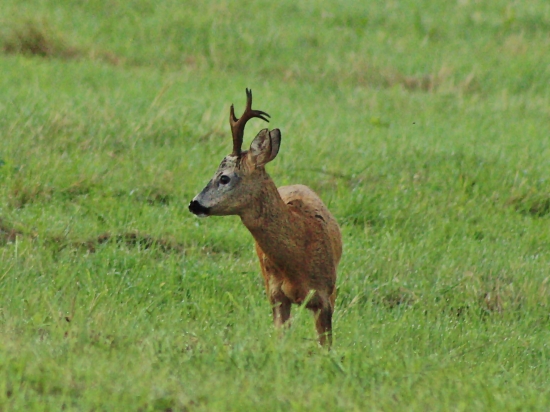 Jeden z mojich najkrajších....
