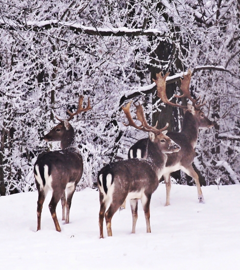 No ešte poslednú fotku a my už potom musíme íst...