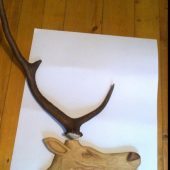 ...už len podložku a osadiť...