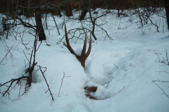 Štartovací 2012 - 3,2 kg