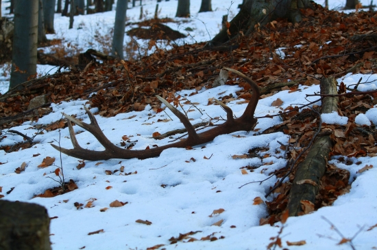 Ďalšia štrnástka