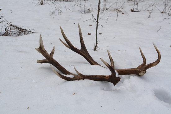 Dvadsať metrov od seba a nie je to pár