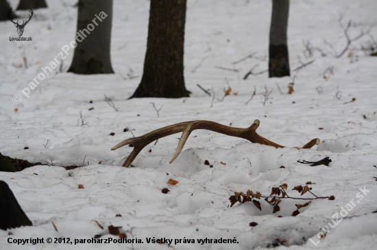 Prvý pohľad