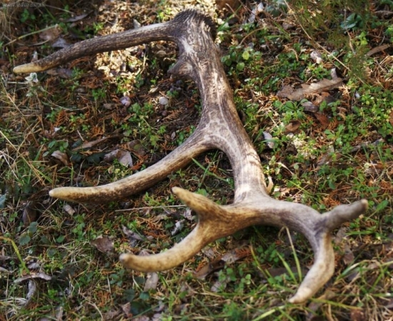 Včera som mal štastie...