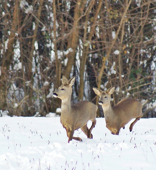 Ale sme pekné však?