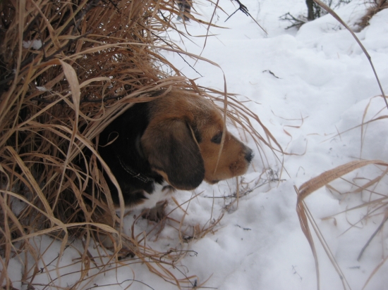 Trosku sa ochladilo .... :)