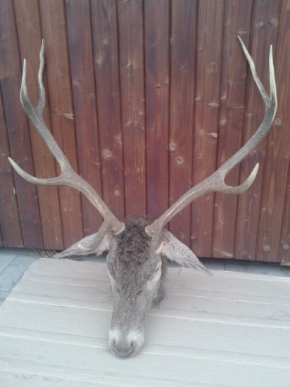 Ulovený, a plán splnený