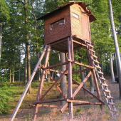 1996-2005 bol pre všetkých