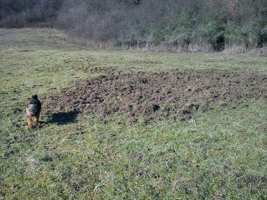 Agy na stope diviakom