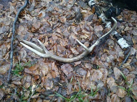 konečne sa podarilo :D