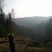 dnes ked sme šli prikrmovať