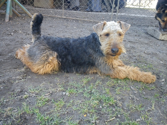 trošku si poležím  : )