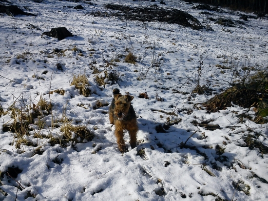 v nedeľu na prechádzke