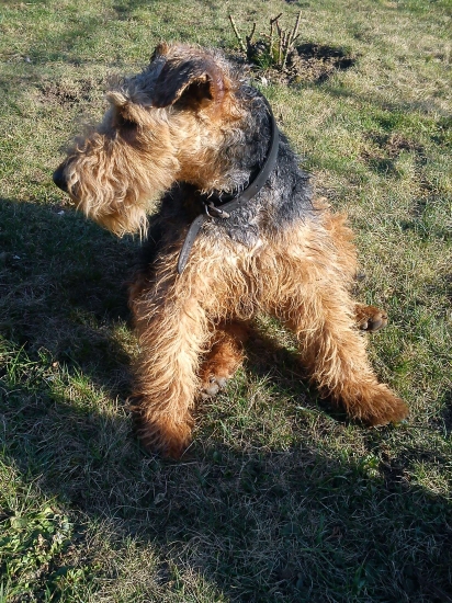 jednu chcem aj z profilu : )