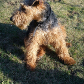 jednu chcem aj z profilu : )