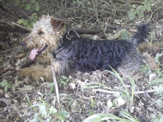 odpočinok na prechádzke