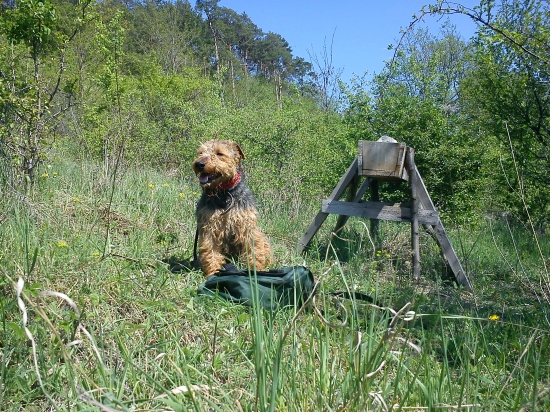 boli sme vyniesť sol
