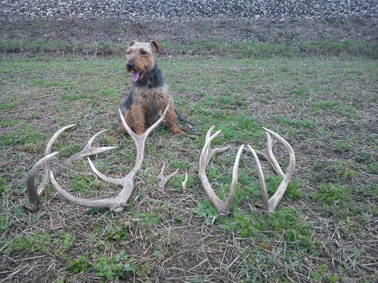 Agy a zhody, všetky nájdené na roly