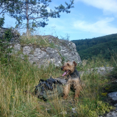 Agy na skale