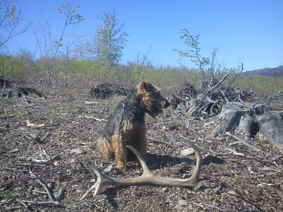 konečne tohtoročný