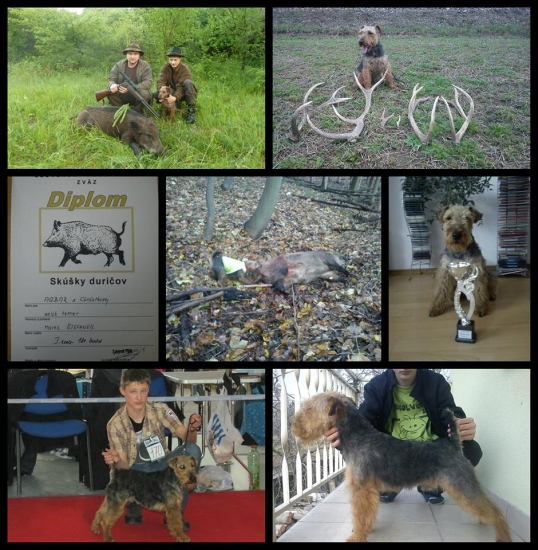 Chovný pes Agbar z Chrástkovej