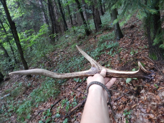 opäť s aunavilo šťastie