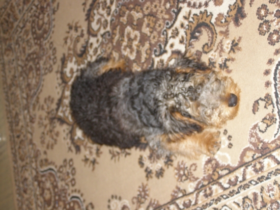 a takto mi zaspal v izbe