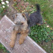 ja na tu lavičku viskočim